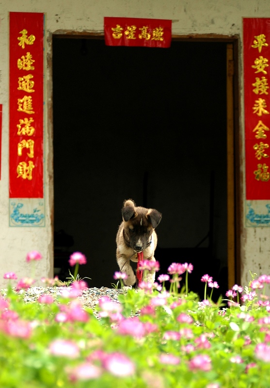 平安.祥和 摄影 一半海水