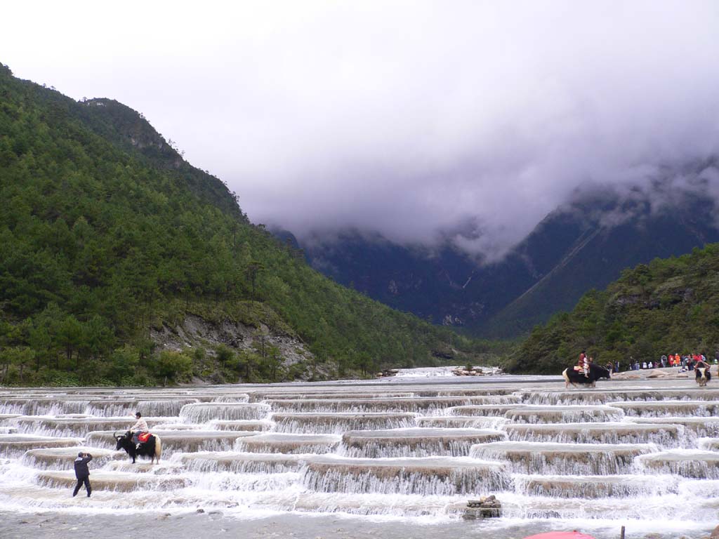 白水河 摄影 石榴树