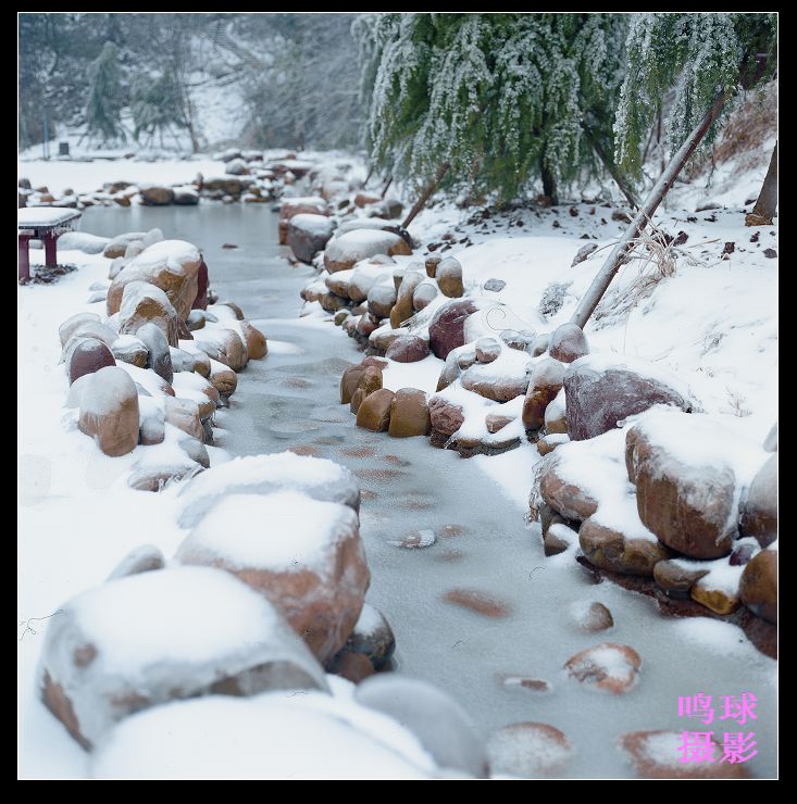 雪中小景 摄影 鸣球