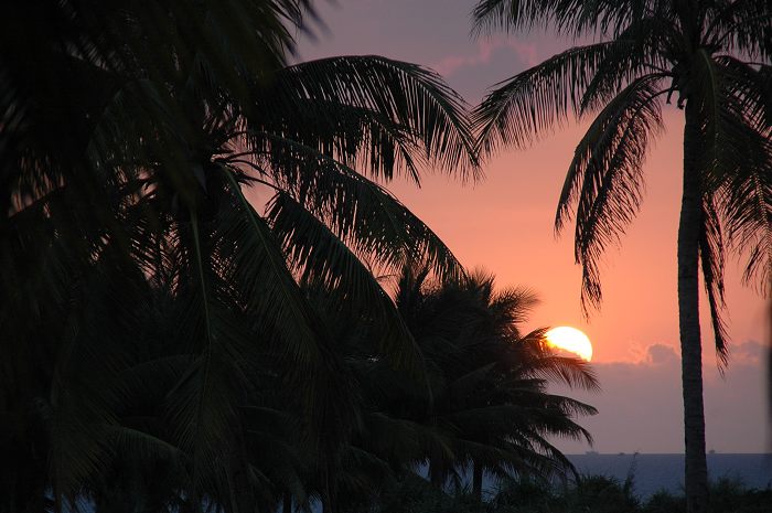 夕阳西下 摄影 成都涛哥