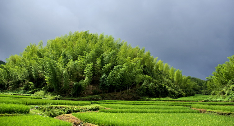 雨过天晴 摄影 风帆