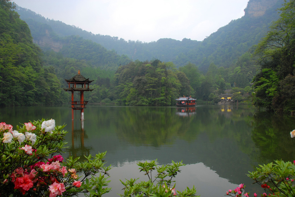 春回青城山 摄影 男人四十