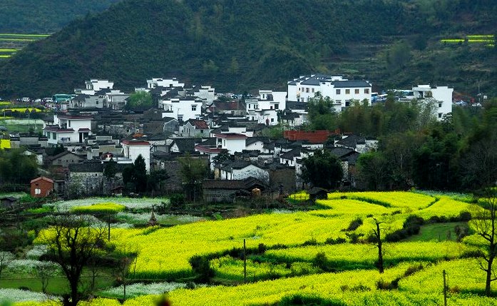 江岭之春 摄影 心即是佛