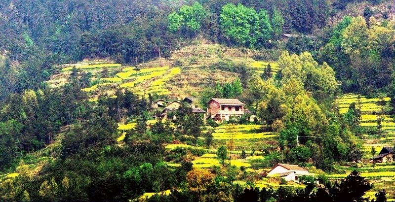 四月中旬的南郑山村 摄影 芦笛