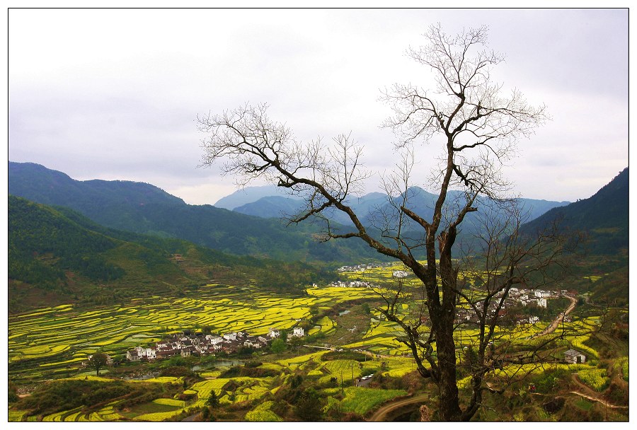 《山河壮丽又逢春》 摄影 东山少爷