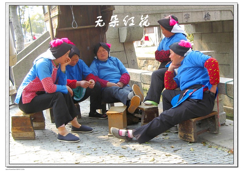 五朵红花 摄影 饮色者