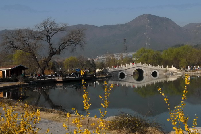 绚丽的花海 摄影 风飘絮