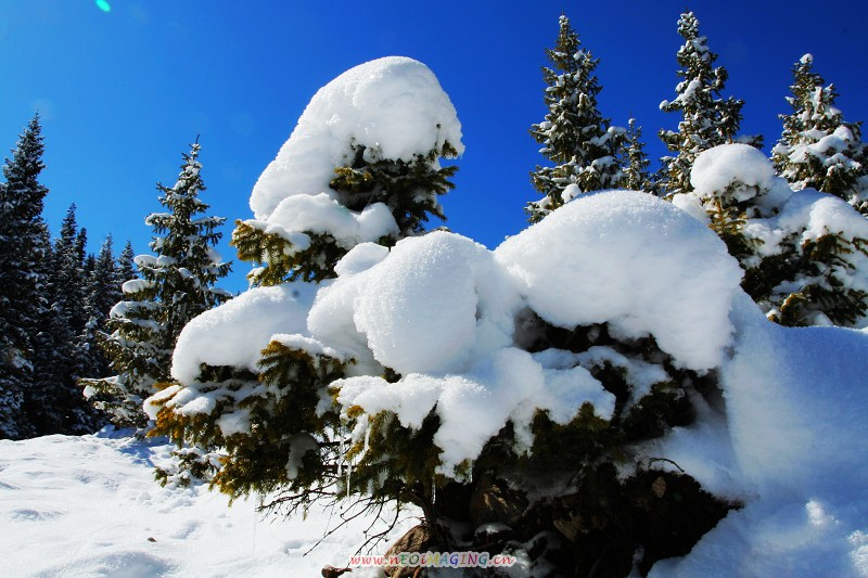 天山童话 摄影 天山行者