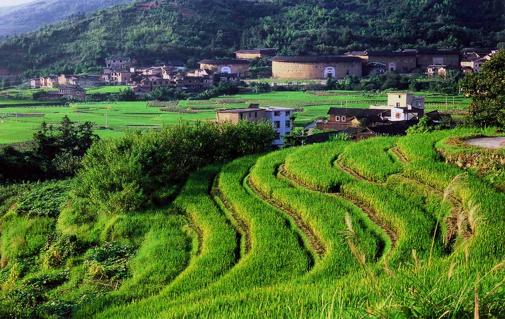 土樓梯田 摄影 高思