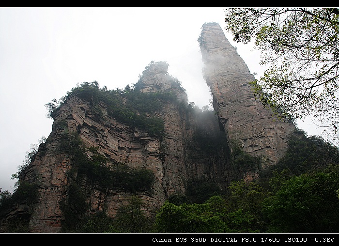 张家界金鞭溪的“神鹰护鞭” 摄影 峨嵋