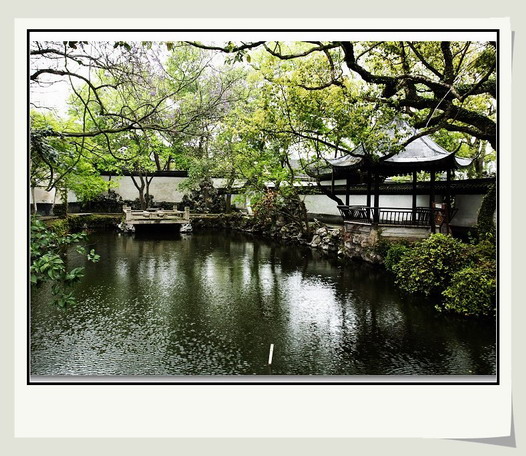 春雨庭园 摄影 蜻蜻