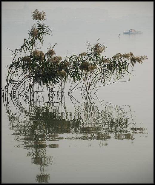 小景 摄影 七月流星