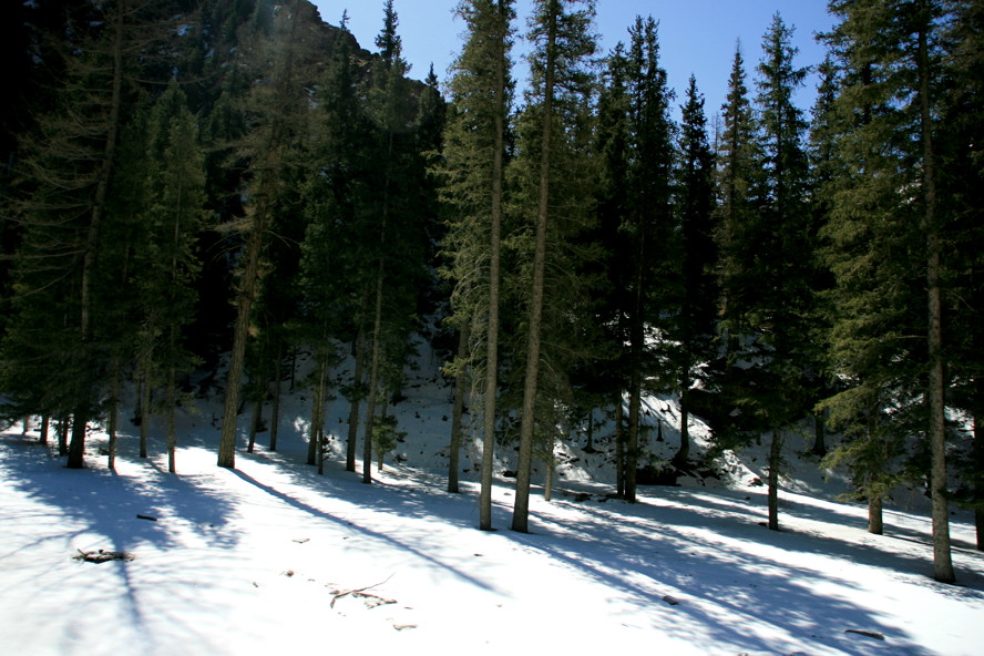 天山夏雪 摄影 杨工