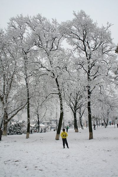 公园雪景 摄影 生活啊生活