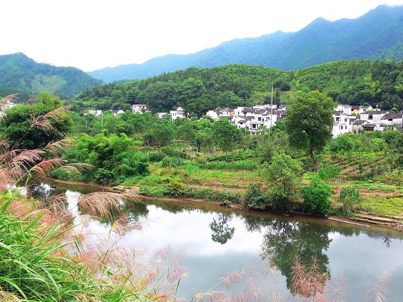 环保山村 摄影 新亚