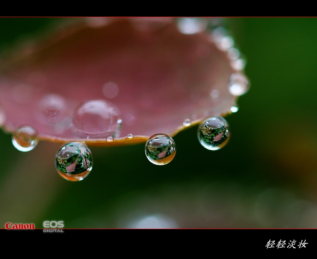 春雨润如珠 摄影 轻轻淡妆