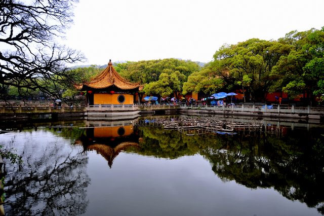 海天佛国普济寺 摄影 北望云山岫谷