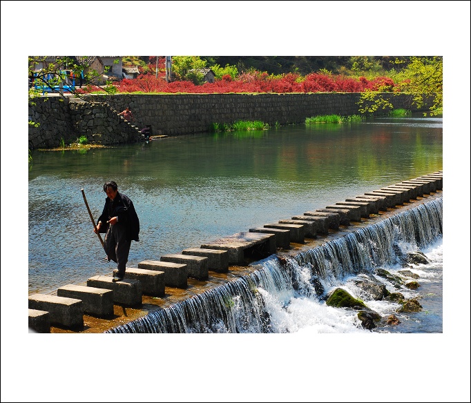 笑傲江湖 摄影 越女茶