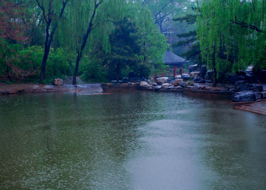 雨声 摄影 路吉亚