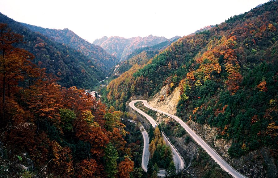 风景这边独好---光雾山赏红叶（3） 摄影 川厨子