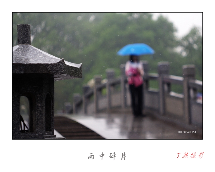 ++雨中碎片（解放公园）++ 摄影 Rowater