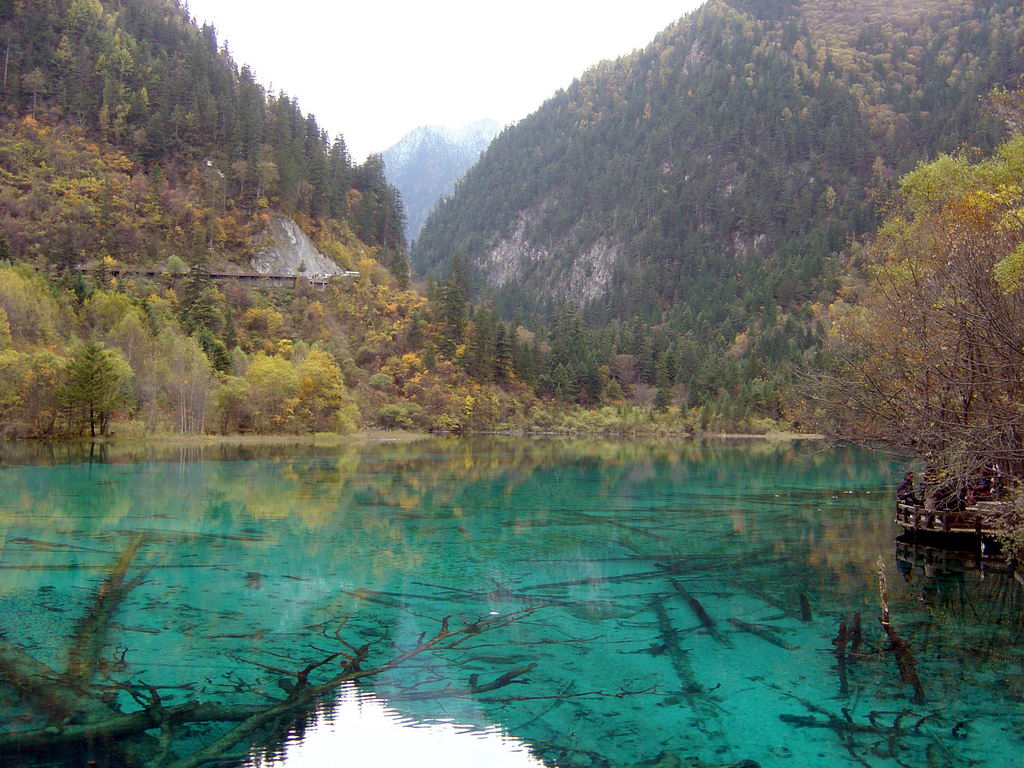 九寨沟的水 摄影 观察者