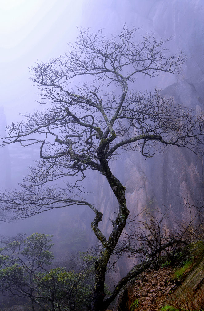 印象黄山 摄影 乔家大院