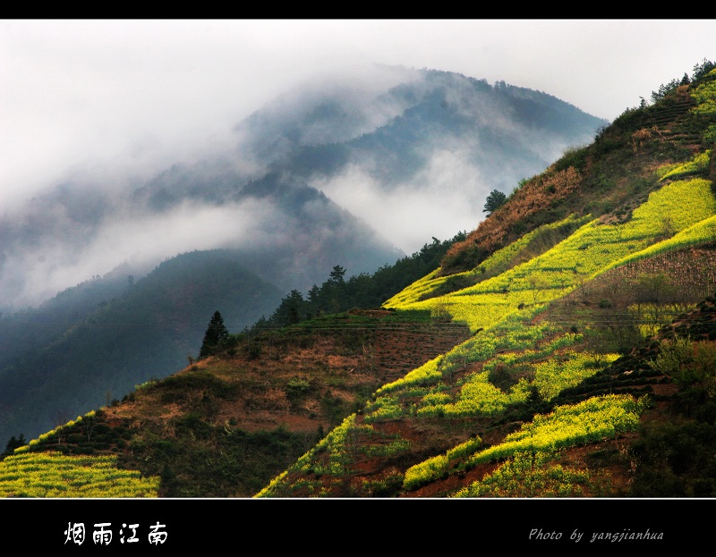 烟雨江南 摄影 听涛堂