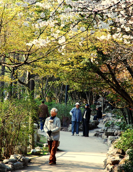 春日寻芳 摄影 kakalinda