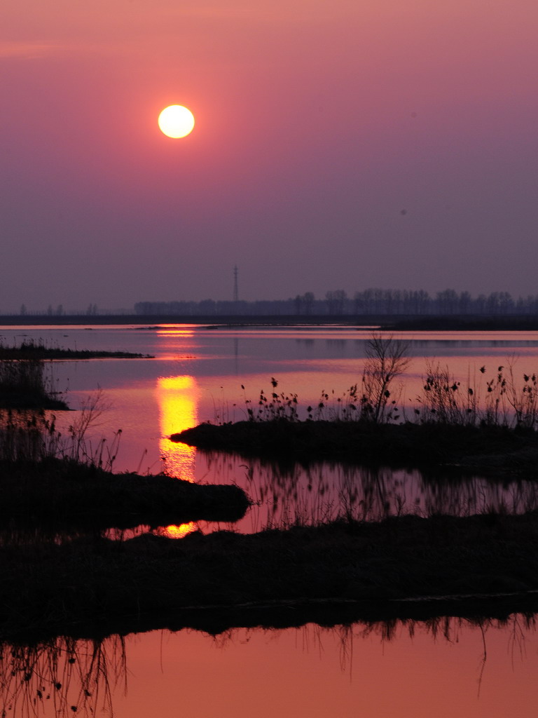 夕阳 摄影 紫竹轩主