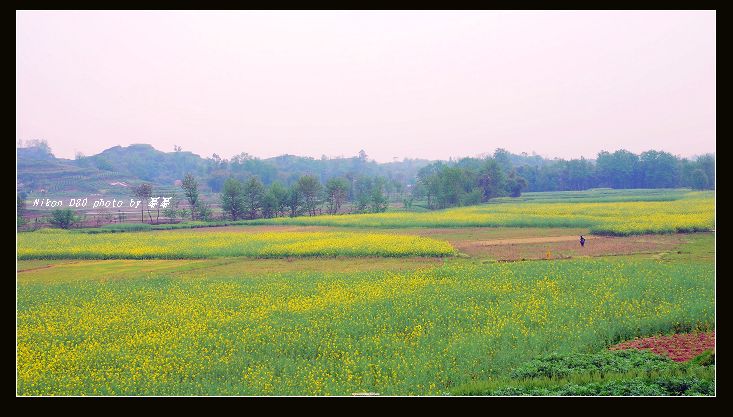 田园 摄影 幂幂