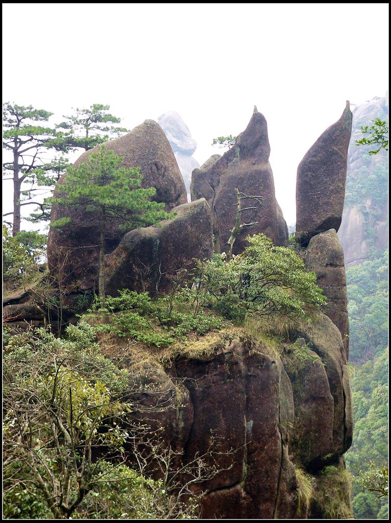 企鹅献桃 摄影 武当山