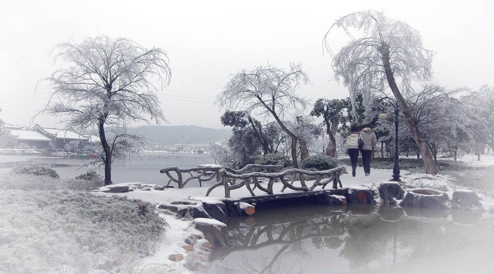 爱莲湖雪景 摄影 袁自安