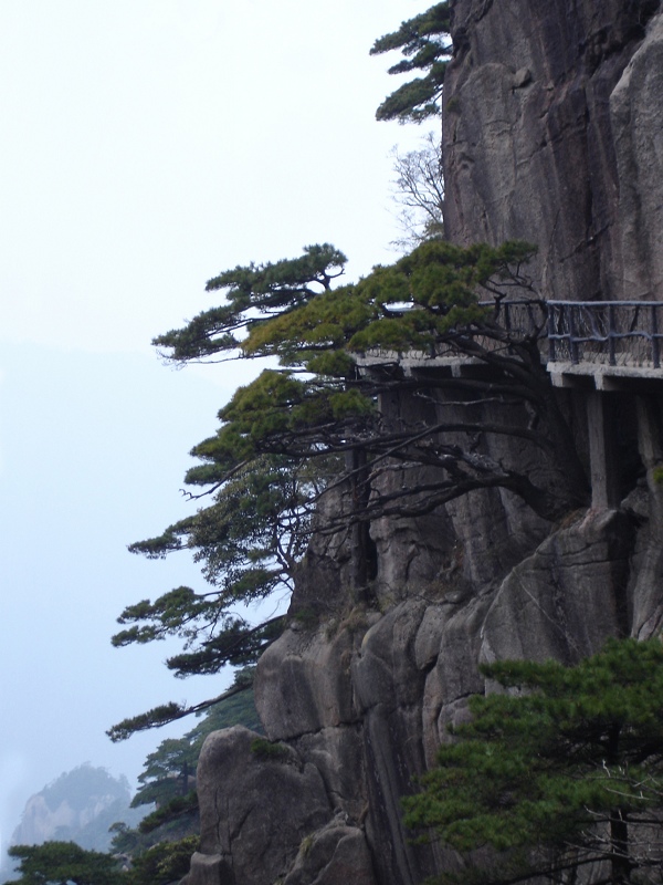 奇峰峻石19 摄影 冷香茶