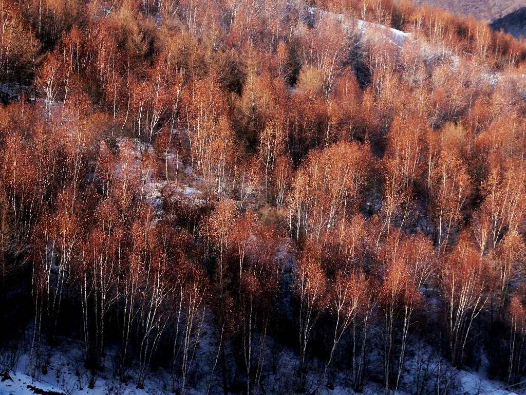 阳光下 摄影 大漠山水