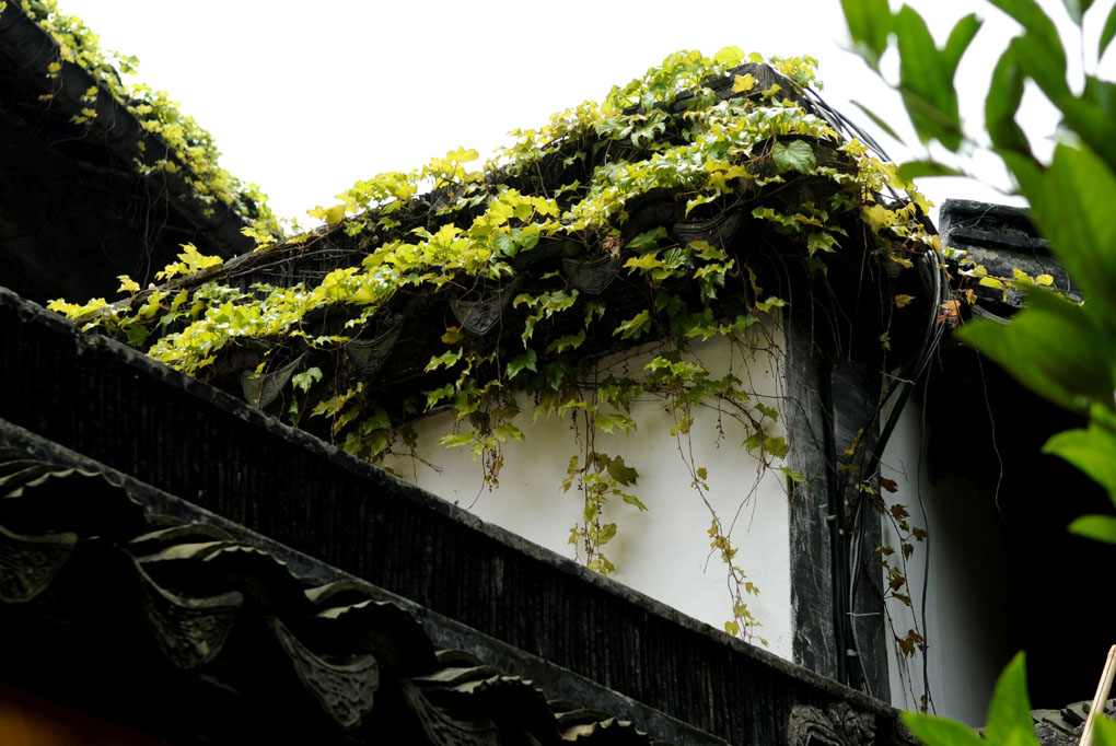 常熟虞山.福兴寺---一角 摄影 神往之