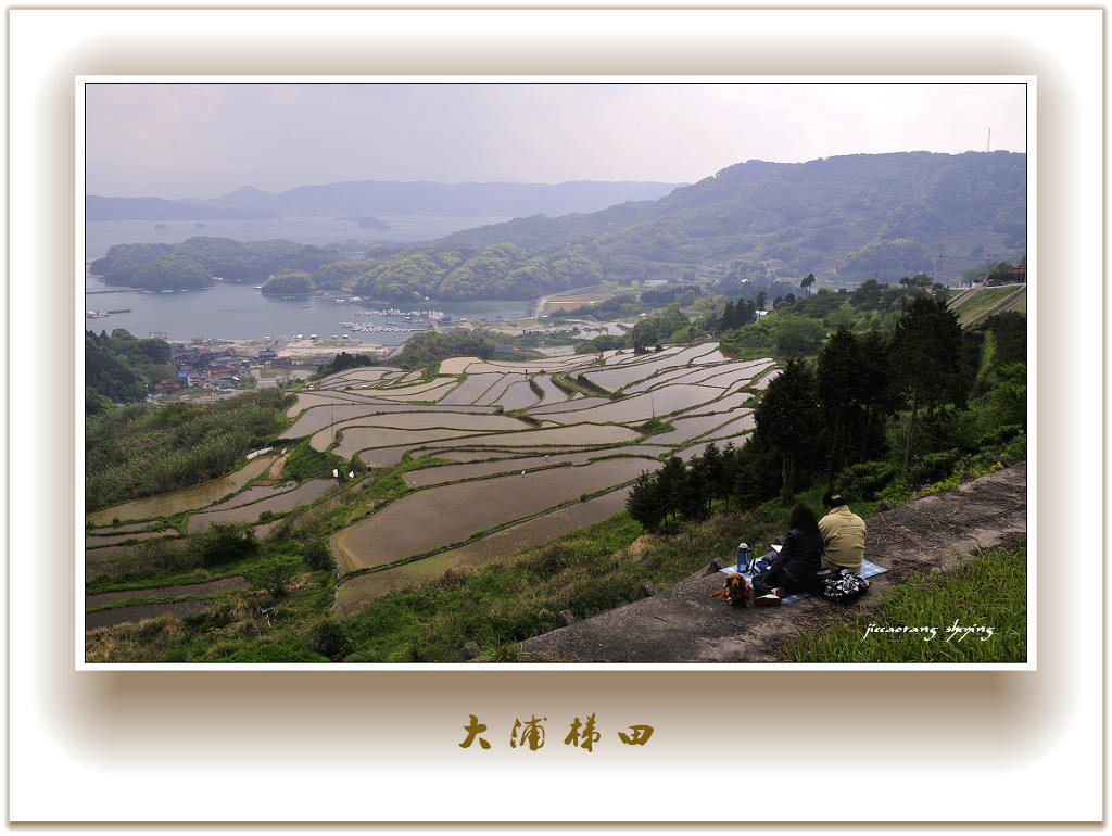 大浦梯田 摄影 结草堂