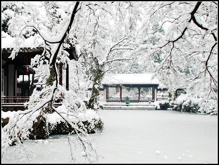 雪中拍客 摄影 雷风