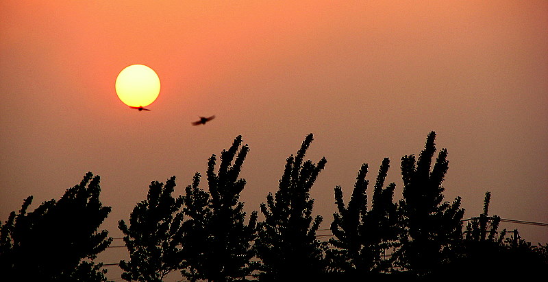 夕阳无限好 摄影 小小燕子