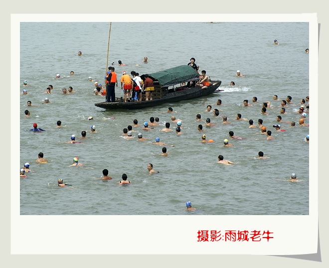 水中趣味游活动“抢鸭子”---6 摄影 雨城老牛