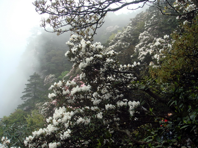 笔架山风光 摄影 沐宁