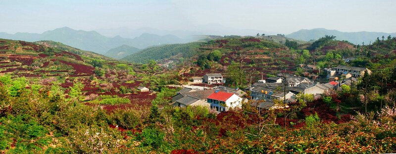 山村红叶 摄影 四明岚风