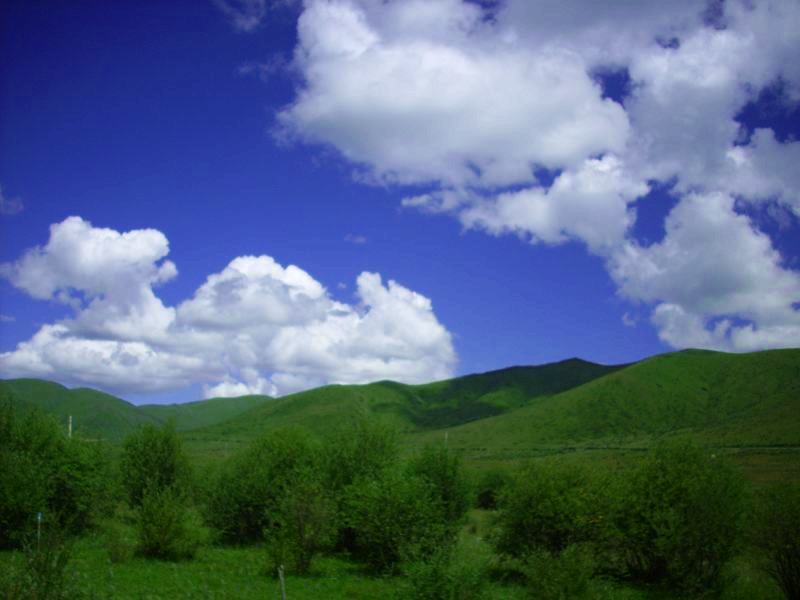 在那高高的青山上 摄影 梦里水乡