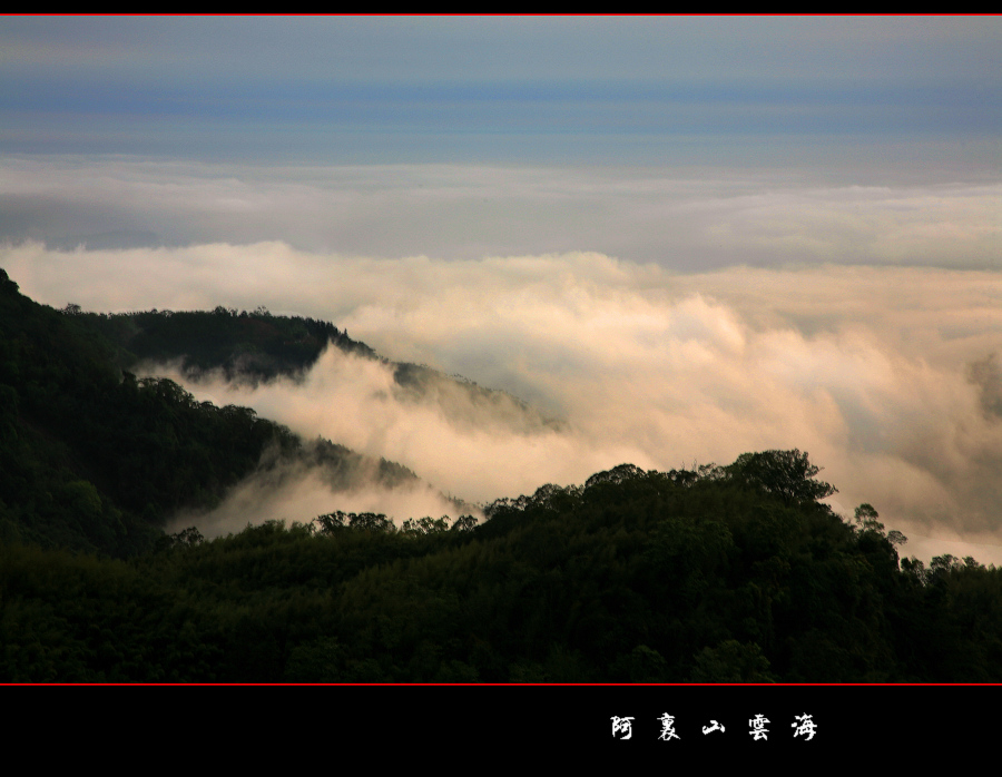 阿里山云海（3） 摄影 浪游天涯