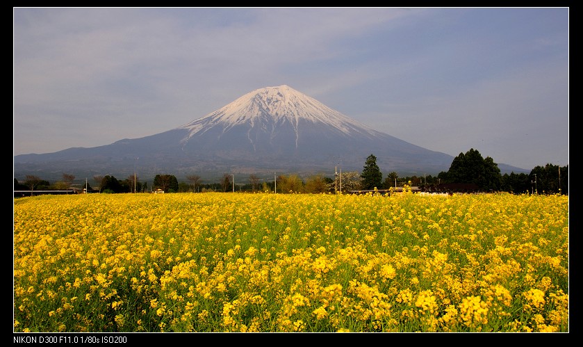 富士山（2） 摄影 景深预视