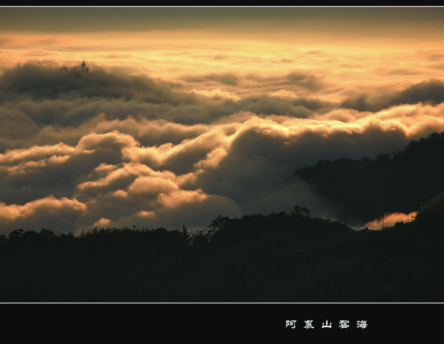 阿里山云海（4） 摄影 浪游天涯