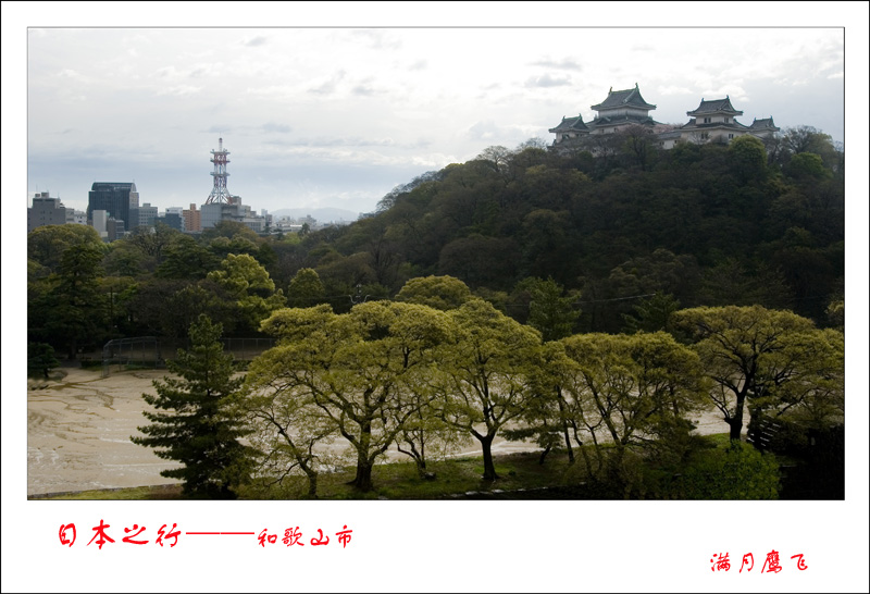 《日本之行》和歌山市 摄影 满月鹰飞