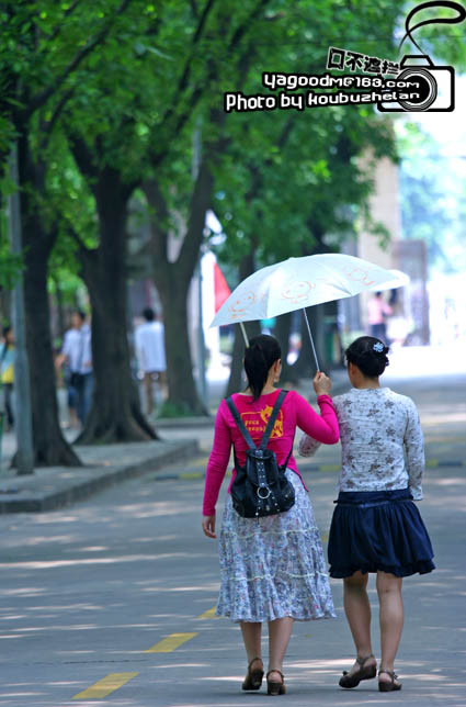 菁菁校园 摄影 口不遮拦