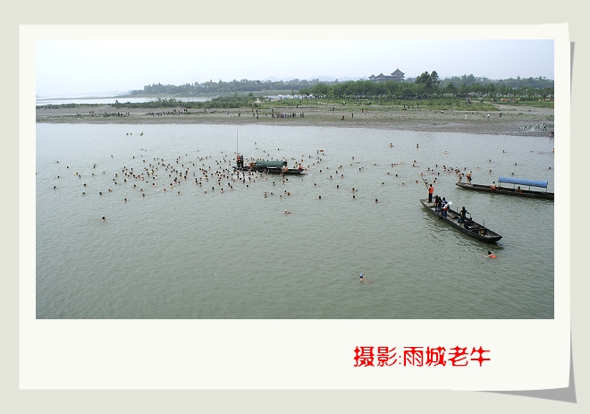 水中趣味游活动“抢鸭子”---8 摄影 雨城老牛