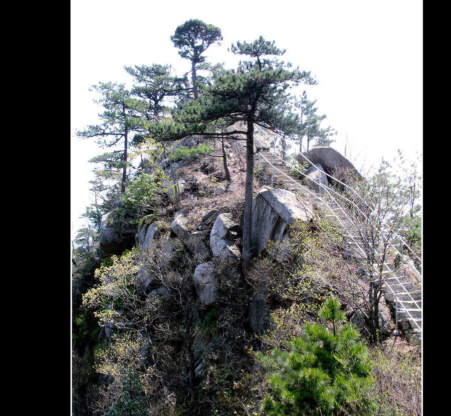 明堂山-观景台 摄影 紫杜鹃